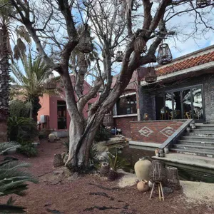 오아시스80 대표 사진