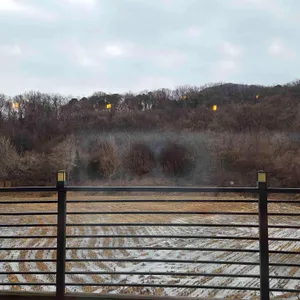 마리마리 대표 사진