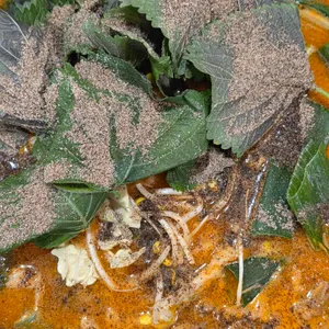 곱창수월래 리뷰 사진