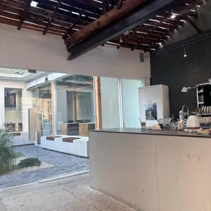 도화지 대표 사진