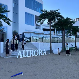 아우로라 사진 2