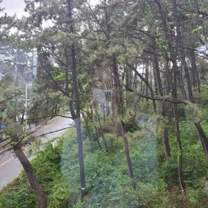 동백마리솔 사진 2