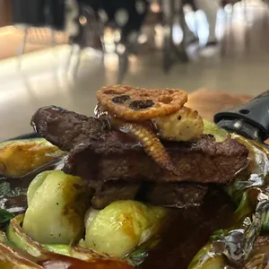 코지하우스 사진