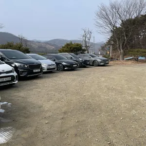 솔반 리뷰 사진