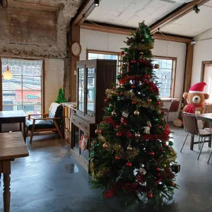 콩셉트 리뷰 사진