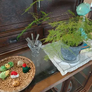 콩셉트 리뷰 사진