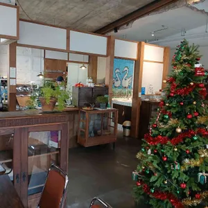 콩셉트 리뷰 사진