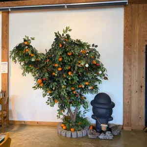 제주올래고기국수 대표 사진