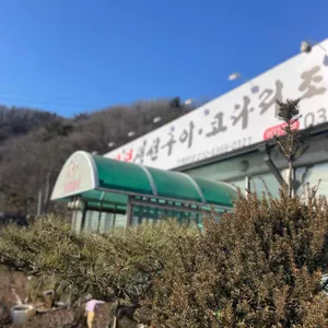 어가 대표 사진