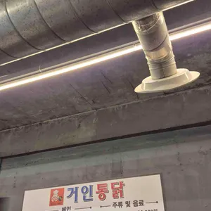 거인통닭 리뷰 사진