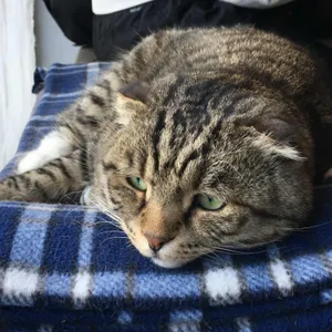 포엣룸 리뷰 사진