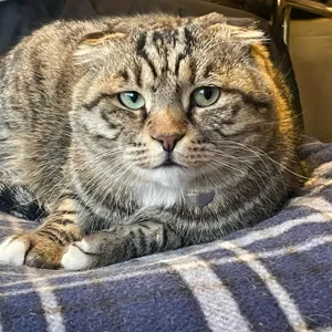 포엣룸 리뷰 사진