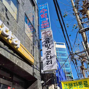 금빛코다리 사진 1