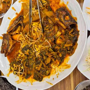 금빛코다리 대표 사진