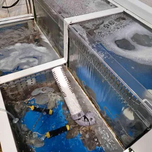 뜰채 대표 사진