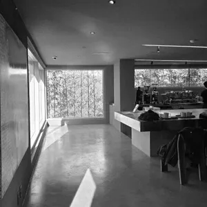 타이드 대표 사진