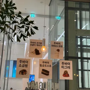 마호가니 대표 사진