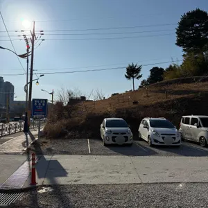 매드 파파 리뷰 사진