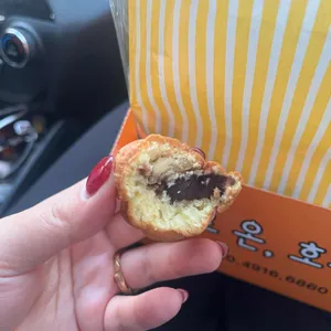 여수로 온, 호두 사진 1