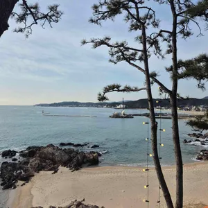 웨이브온커피 대표 사진