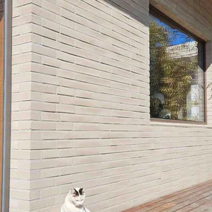 모모스커피 리뷰 사진