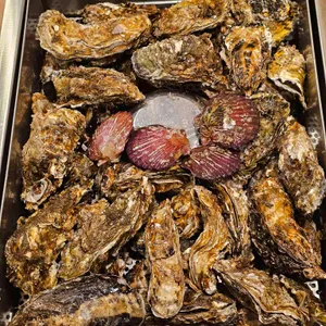 굴따러가세 대표 사진