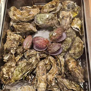 굴따러가세 사진