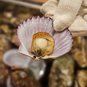 굴따러가세 사진