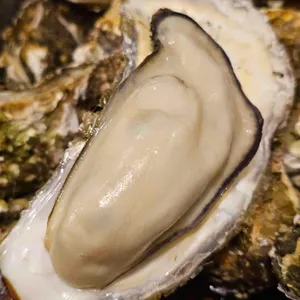 굴따러가세 사진