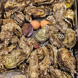 굴따러가세 대표 사진