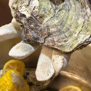 고래미 캠핑바베큐 대표 사진