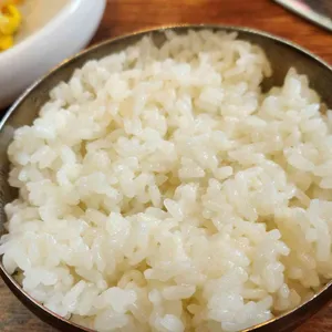 양은이네 사진 1