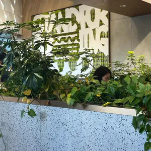 쉐이크쉑 대표 사진