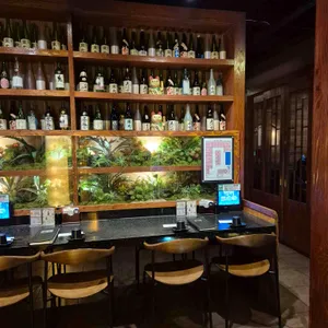 이자카야나무 대표 사진