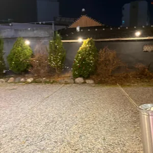 돈구이 바람났네 닭이랑 리뷰 사진