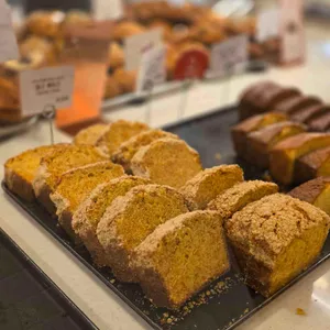 스코프 대표 사진