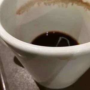 마호가니 대표 사진