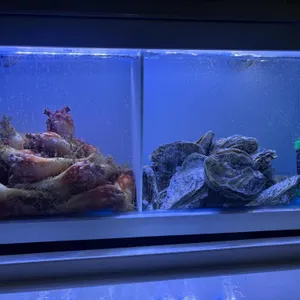 1974삼촌카세 리뷰 사진