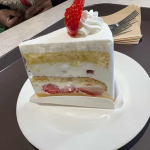 쉐프조 대표 사진