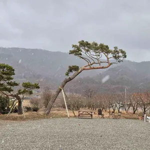 68 BLOCK 리뷰 사진