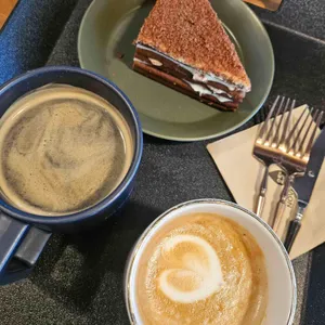 노부스테라 사진 1