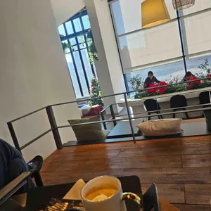 노부스테라 대표 사진