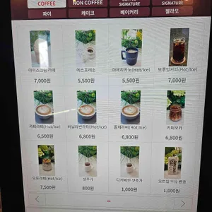 노부스테라 리뷰 사진