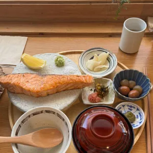 코이보타루 대표 사진