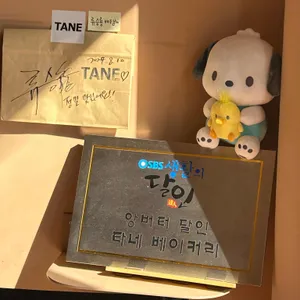 타네 대표 사진