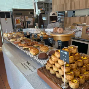 타네 대표 사진