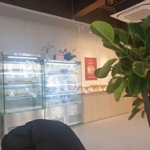 닥터로빈 대표 사진