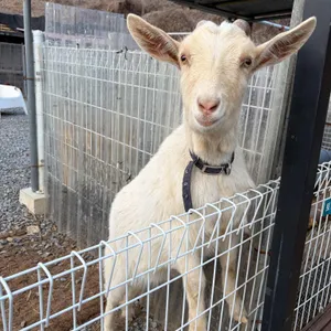 파인40 대표 사진