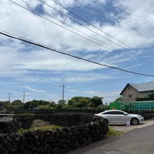 노기 리뷰 사진