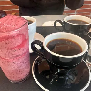 파라안 대표 사진